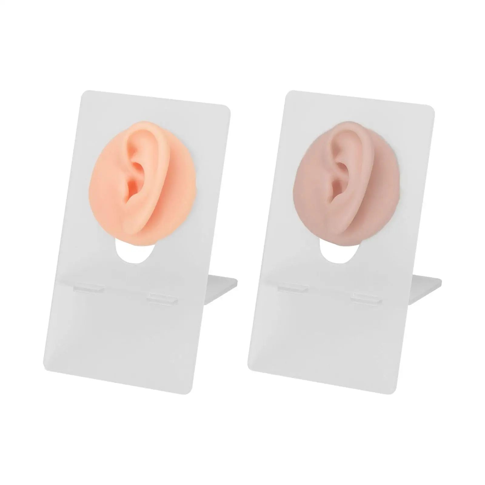 Silicone Ear Model Body Display Props with Display Stand 3D Flexible Reusable