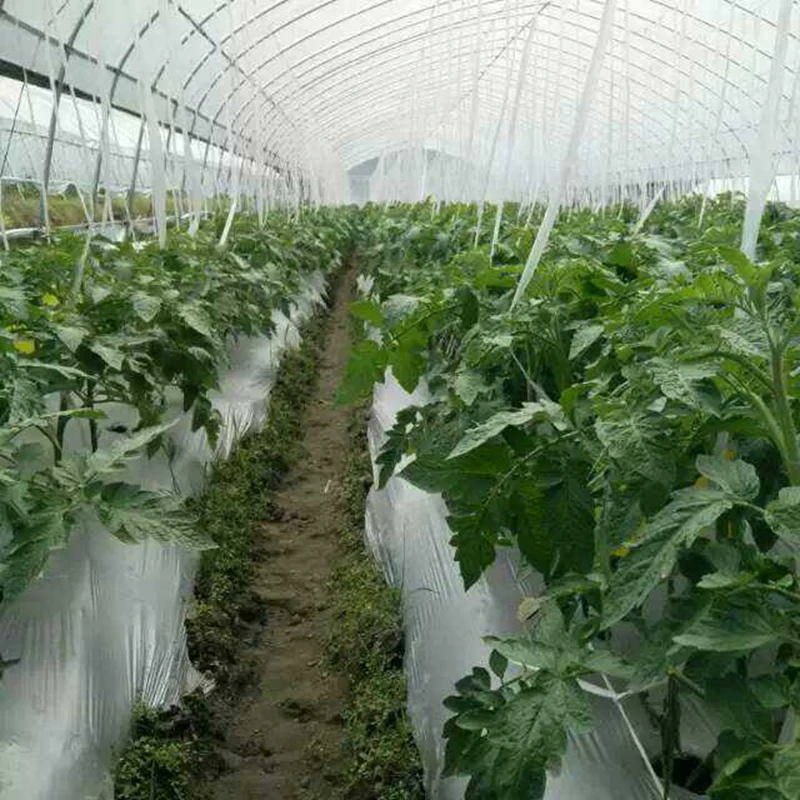 25m 0.012mm Silvery Black Reflective Plastic Mulch Film Agricultral Orchard Tee Planting Film Garden Fruits Plants Care Cover
