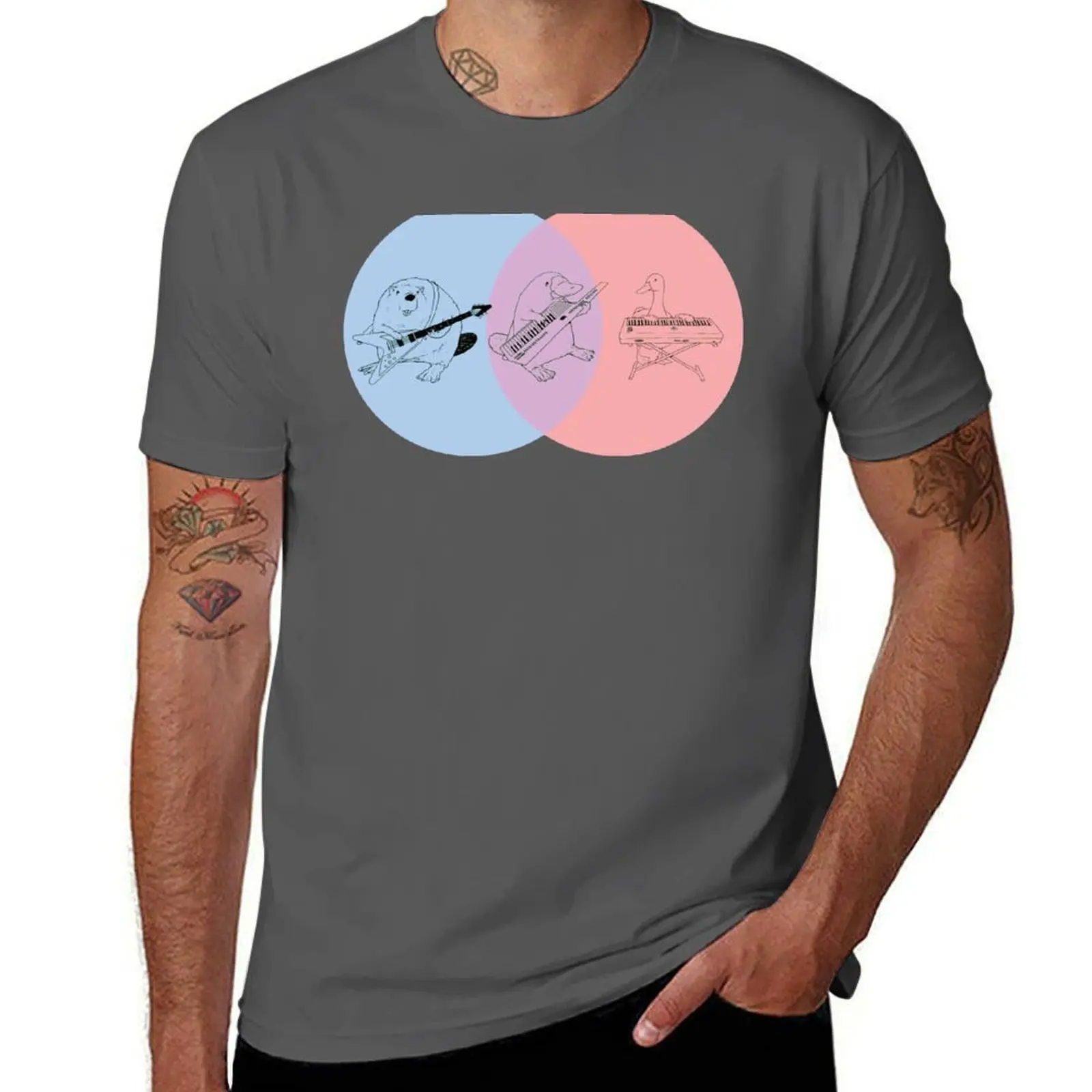 Keytar Platypus Venn Diagram - Blue Purple Red T-Shirt Labor Work Casual T-Shirt