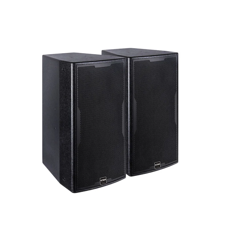 ATSH CT-10 10 Inch 2-Way Speaker 300W 8ohms 50Hz-19KHz 96dB Sensitivity Rear Speaker with Black Durable Finish