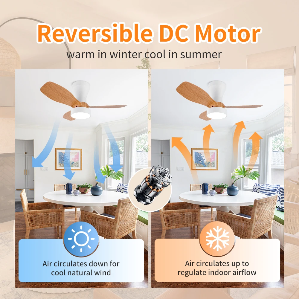 Small Modern LED Ceiling Fan, DC Motor, Remote Dimming Pendant Light for Living Room, Bedroom, Dining Room, Electric Fan