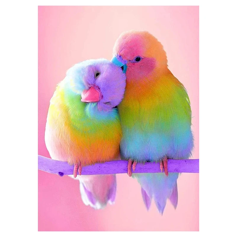 

Diamond Painting Kit Adult Birds Rhinestone Painting Accessories Embroidery Painting And Diamond Home Wall Decoration