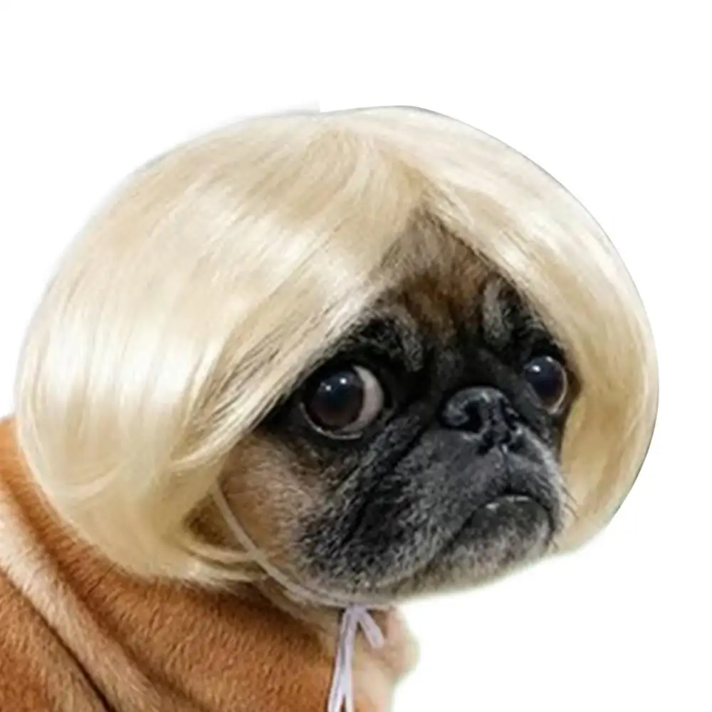 Hundeperücke-Kollektion Lustige Cosplay-Festivals Partys Dekorative Kleidung für Hunde und Katzen Halloween Haustier-Requisiten Zubehör – Detail 6