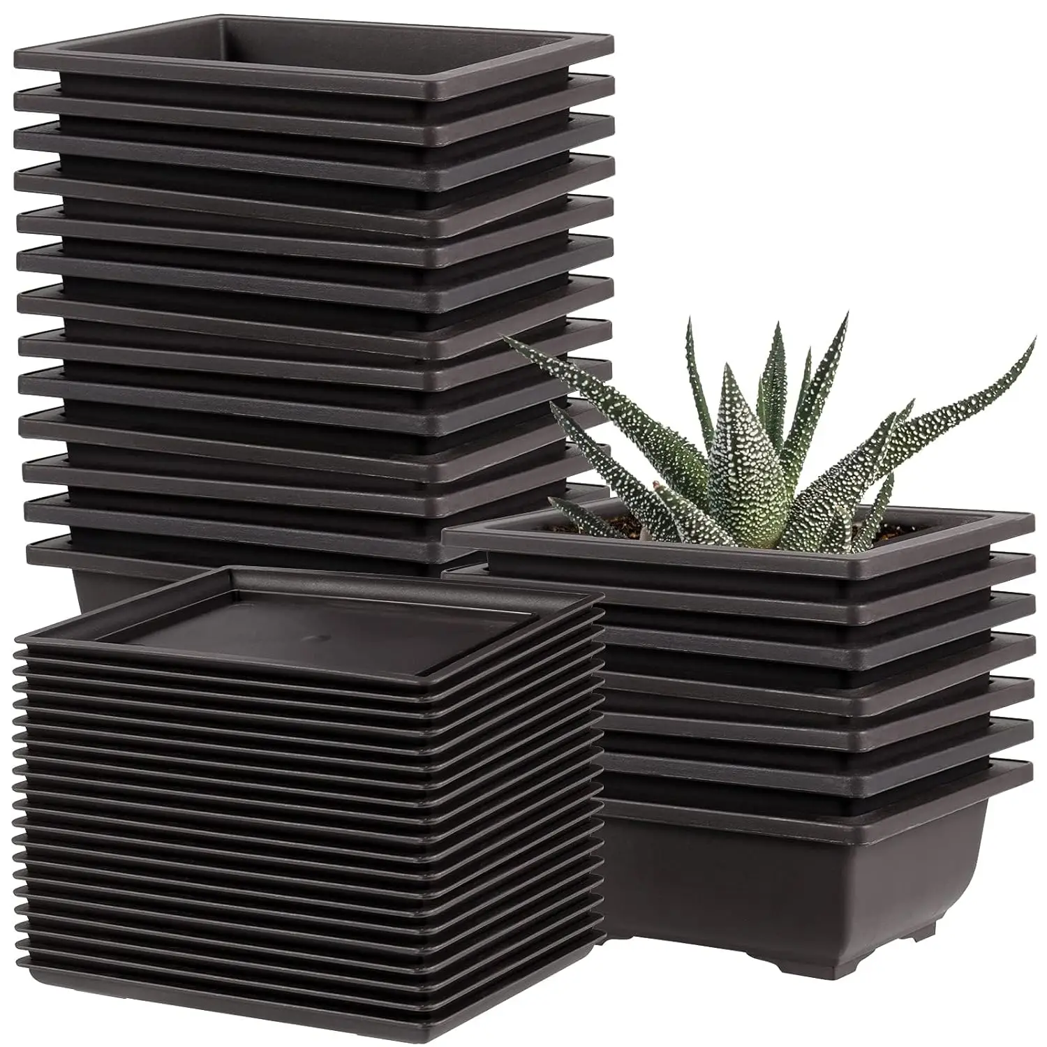 

20 Pack Black Plastic Bonsai Training Pots with 20 Trays, Rectangular Planters, 6.5 Inches