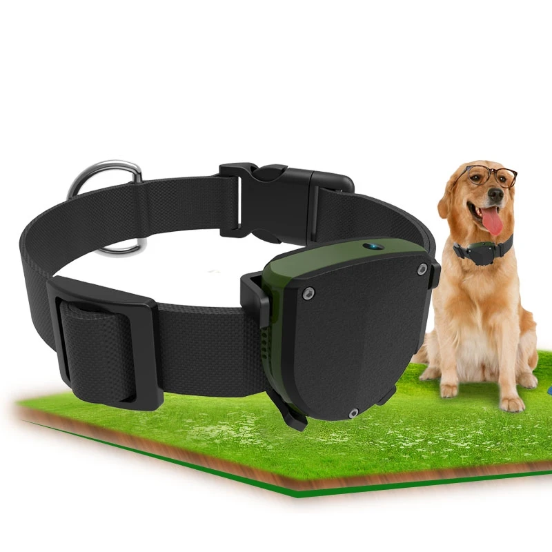 Pet GPS Tracker with Dog Collar Support Multi-mode Positioning RYDTD-05D