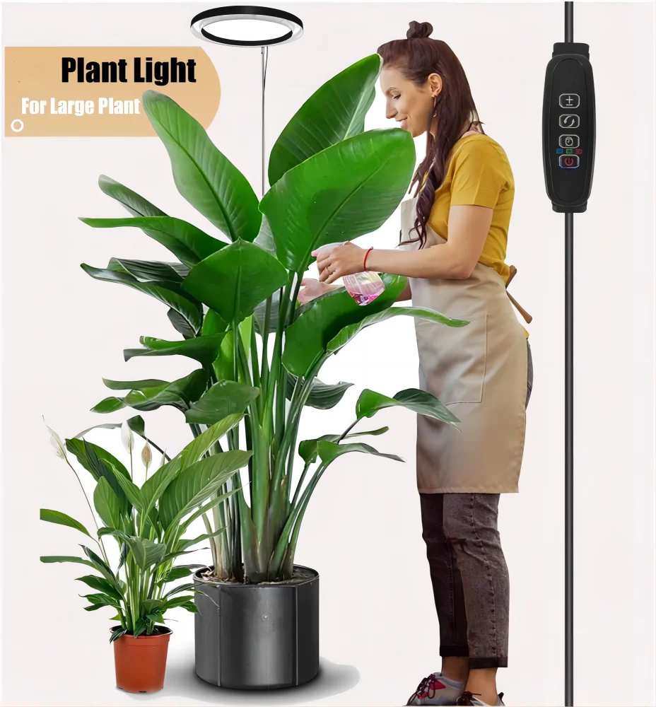 Lampe de croissance pour plantes, réglable en hauteur avec minuterie automatique marche/arrêt 3H/9H/12H, 10 niveaux de luminosité réglables, idéale pour l'éclairage des plantes sur le bureau à la