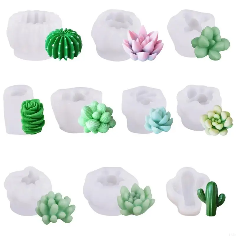 F68D 9/10Pcs 3D Succulent Silicone Molds Set for Candle Making and Epoxy Resins Art Realistic Cactus Designs Casting Moulds