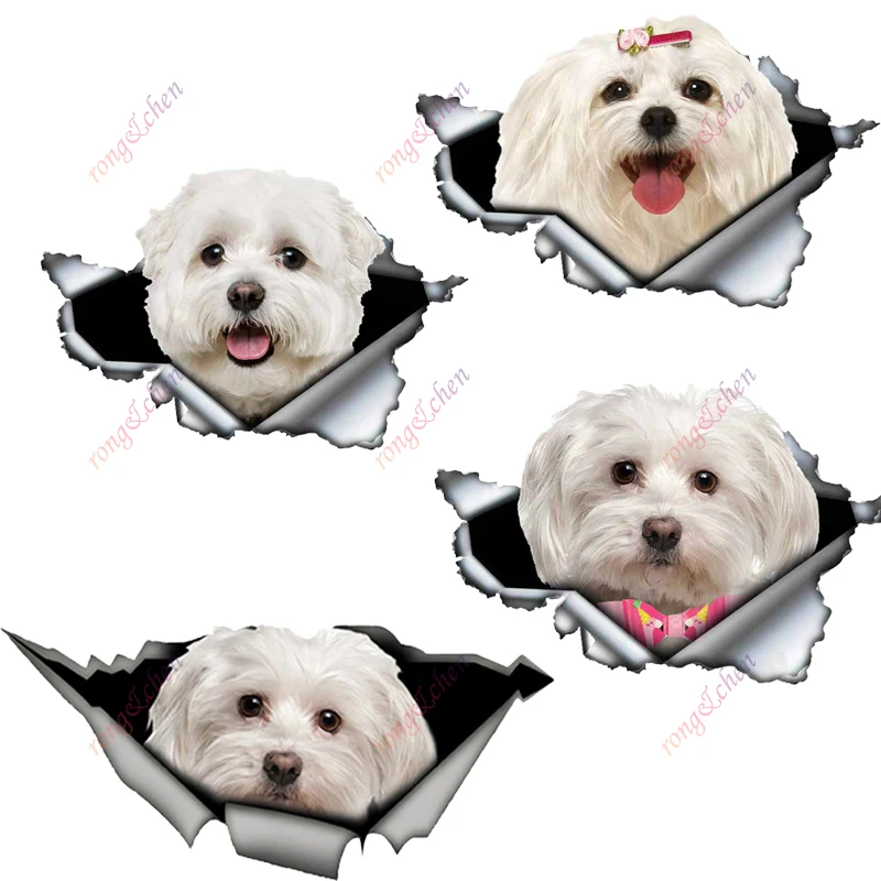 

Animal Car Sticker Maltese Dog for Car Motorcycle Racing Helmet Laptop Trunk Body Car Window Surfboard Waterproof PVC Decals