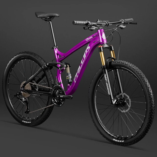 Dual fashion shock mountain bike