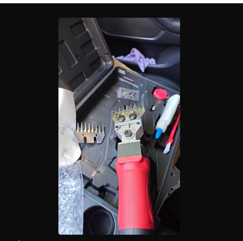 

Мощная электрическая машина для стрижки овец 220 В с высокоскоростными режущими лезвиями CC