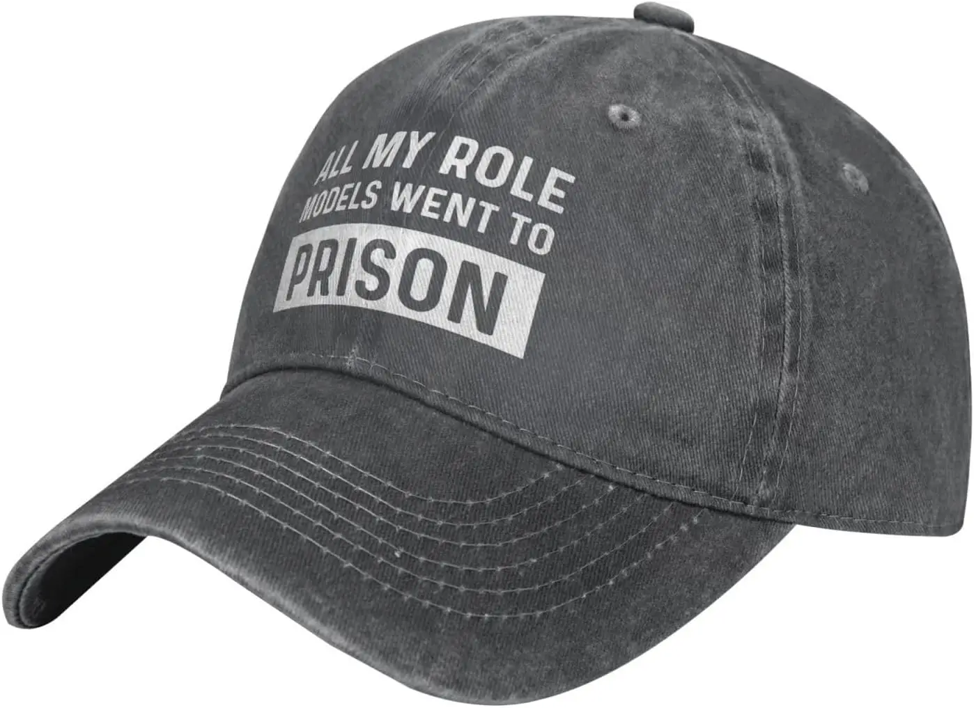 Saftbak Funny Hat All My Role Models Went to Prison Hat for Men Dad Hat Adjustable Hats