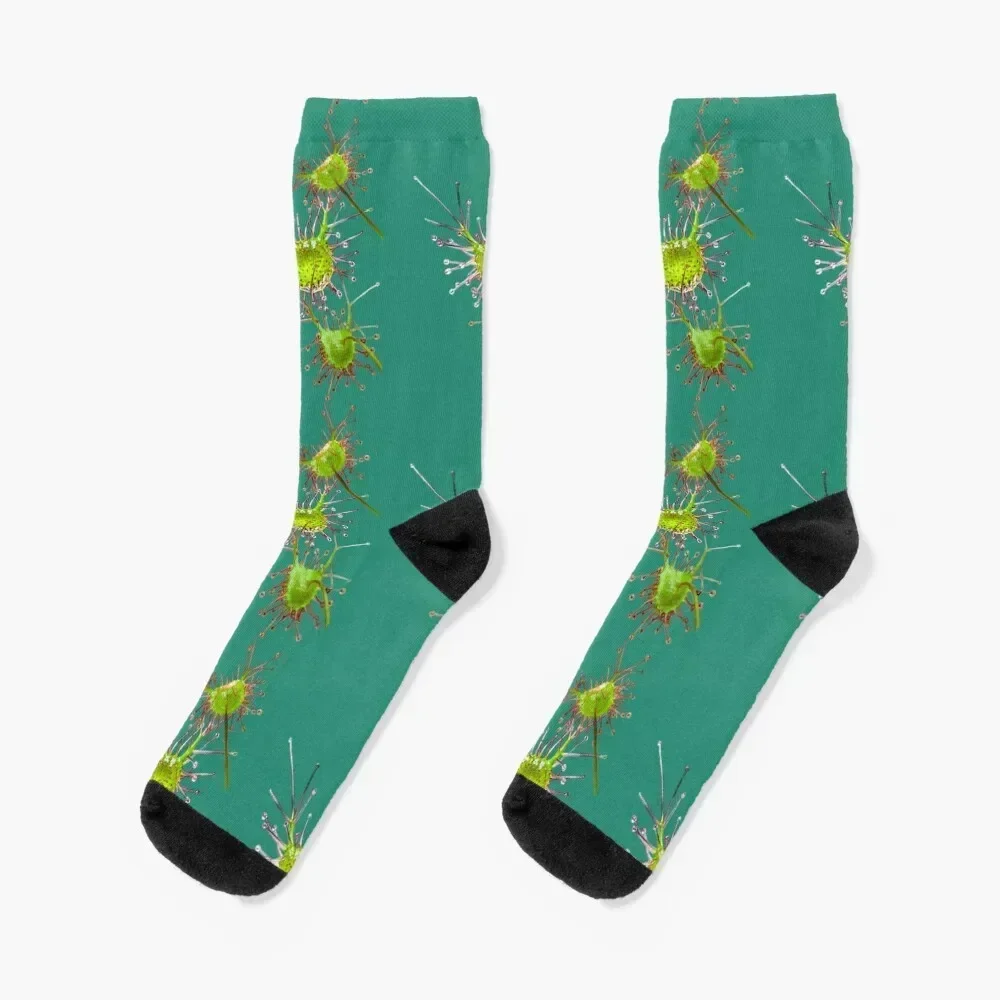 

Sparkling Sundew Socks floor floral colored designer brand Male Socks Women's