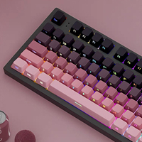 Gradient Keycaps Side Printed Shine Through PBT Double Shot OEM Profile for MX Switches Gaming Keyboard