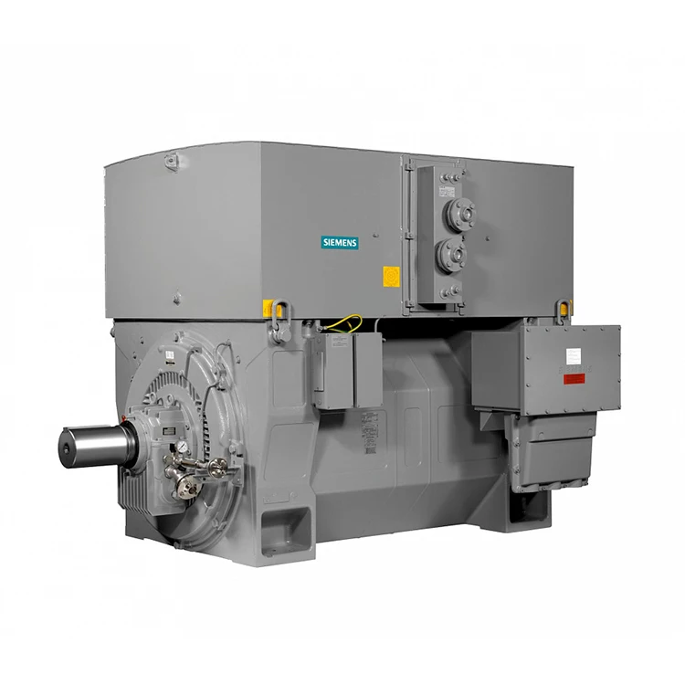 3300v 5500v 6600v Medium Voltage Motor Siemens High Voltage 1000hp Electric Motor Ac Induction Motor