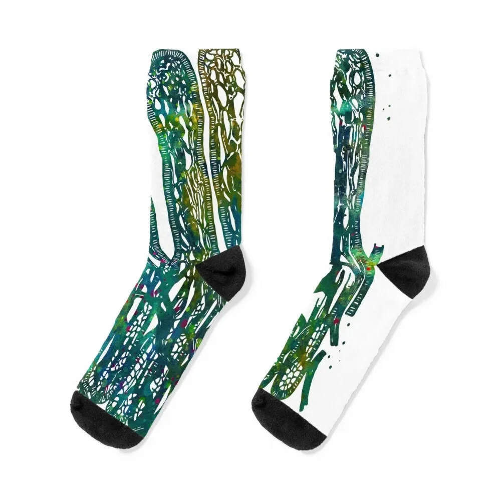 Intestinal Villi Anatomy Socks colored Antiskid soccer anti-slip Socks For Men Women's