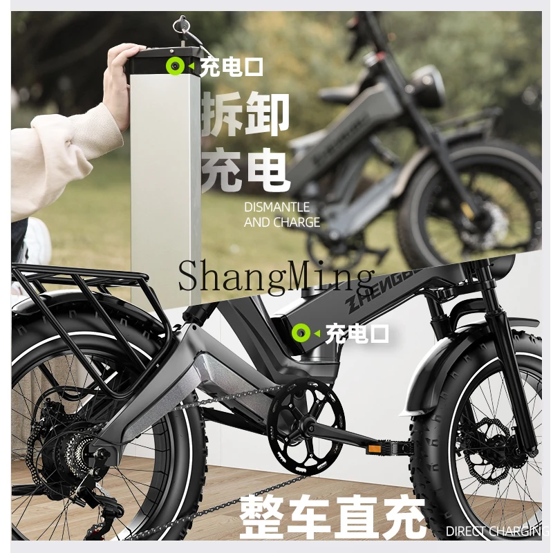 CL Zhengbu Nieuwe nationale standaard opvouwbare elektrische voertuig off-road motorfiets voor volwassenen helpt mountainbike langeafstandsbatterijauto