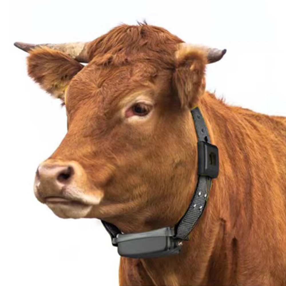 Cow Gps Tracker 4G Gps Tracking Device For Animal Provide Technical App Software Development Support Costom Animal Gps Tracker