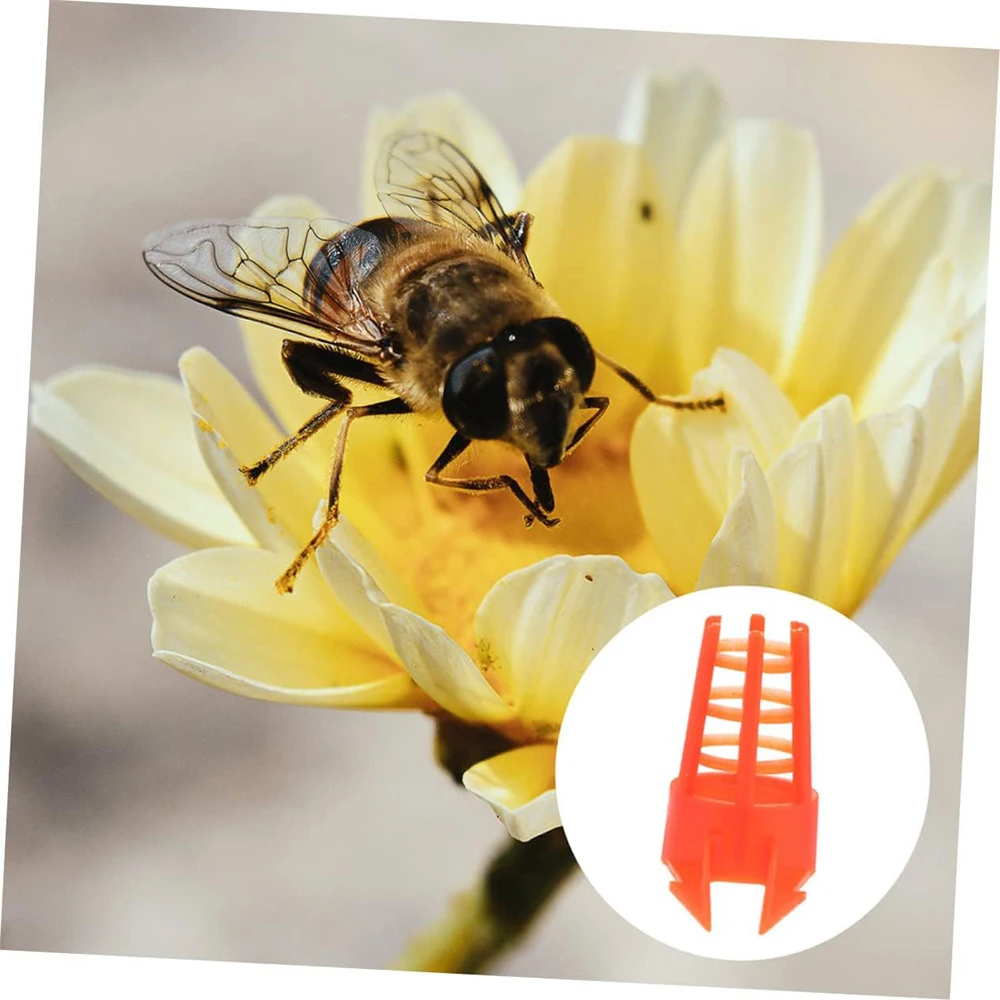 50 Pcs Honey Bee Comb Push-in Queen Cell Protectors Plastic Beekeeping Tools Queen-bee Rearing Cage for Beekeeping Supplies