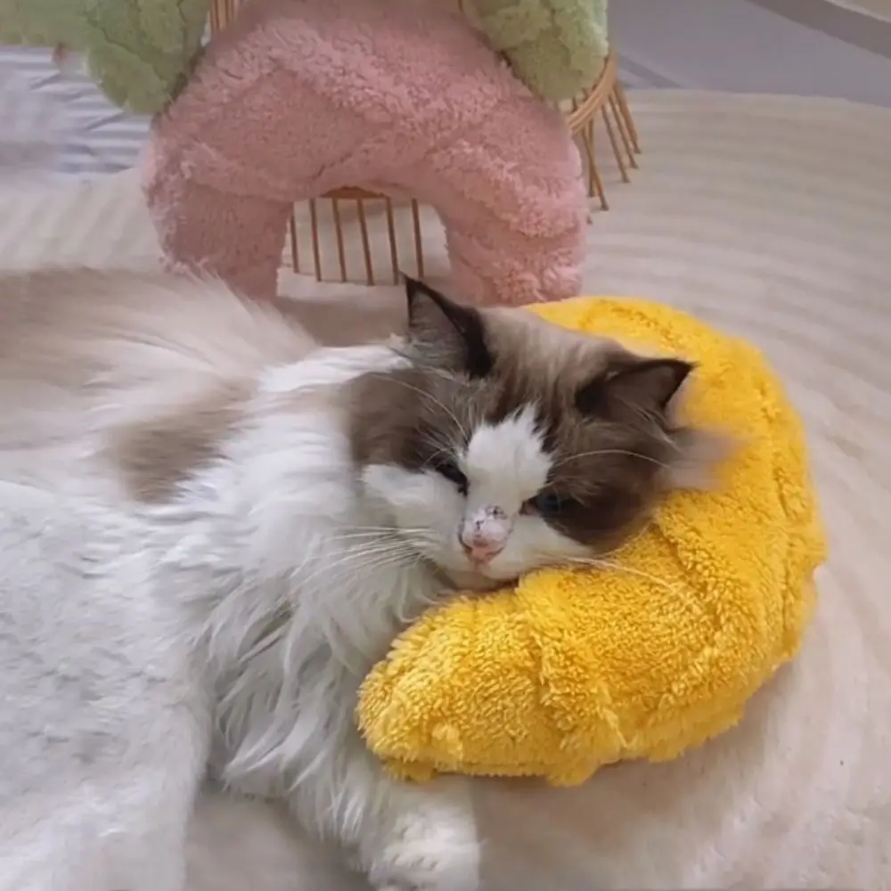 

Moon Shape Cat U-Shaped Pillow Warm Soft Pet Sleeping Pillow Comfortable Dogs Sleeping Mat Pet Calming Toy for Autumn Winter