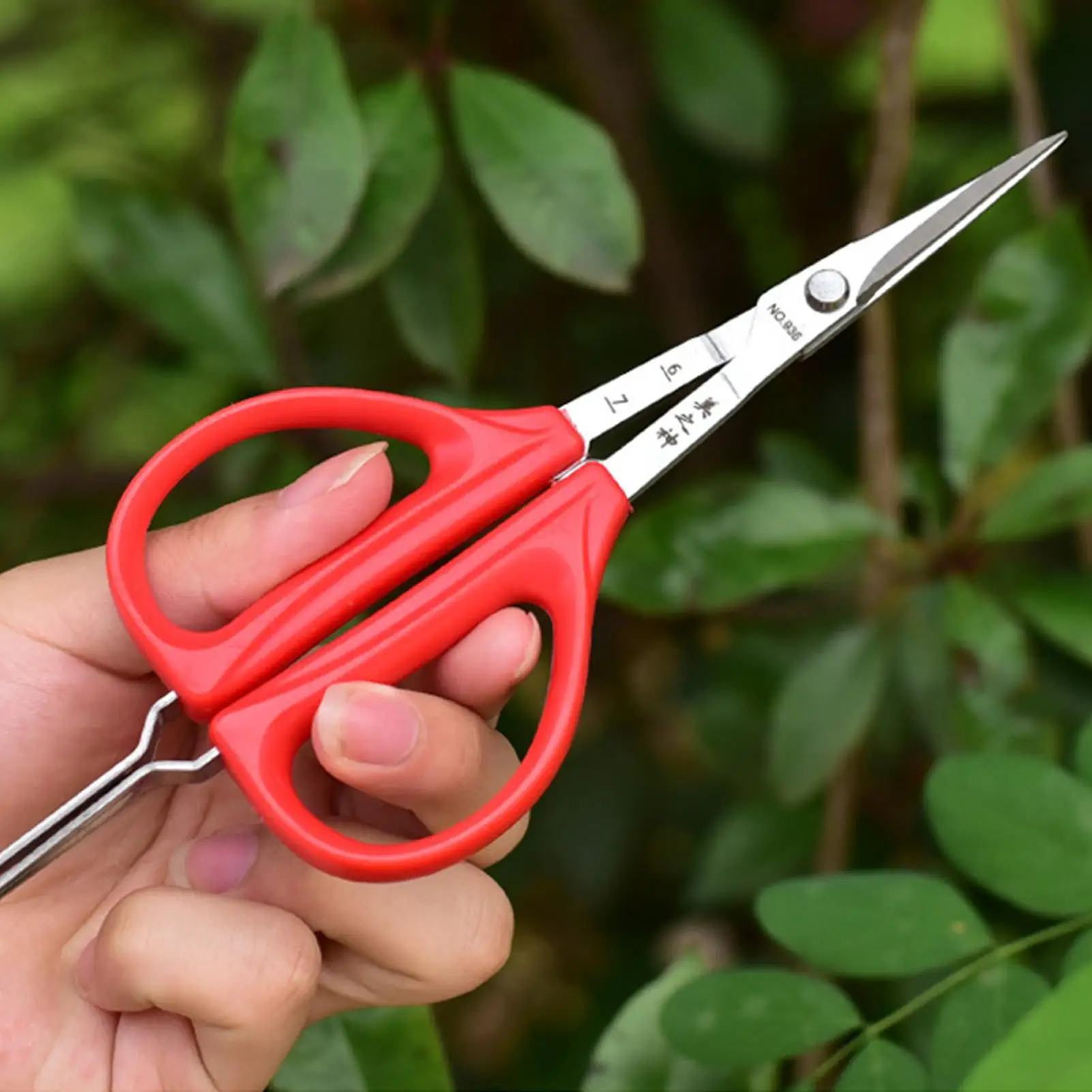 Grape Scissors Creative Grape Scissors Tweezers 2-in-1 Sturdy Scissors and Tweezers for Garden Fruits and Grapes with Soft Grips