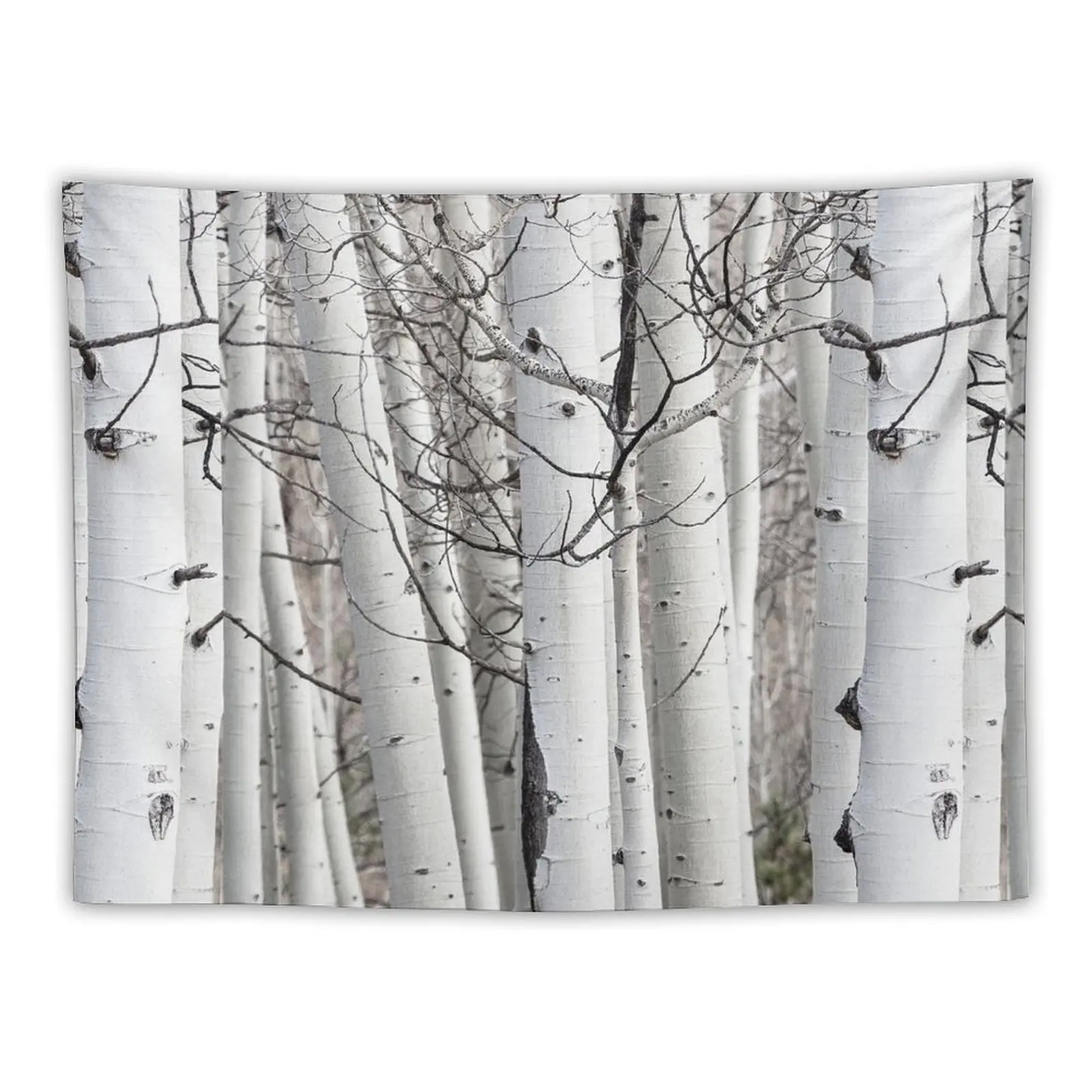 Aspen Tree Trunks Pattern Tapestry Decorations For Room Decorations For Your Bedroom Tapestry