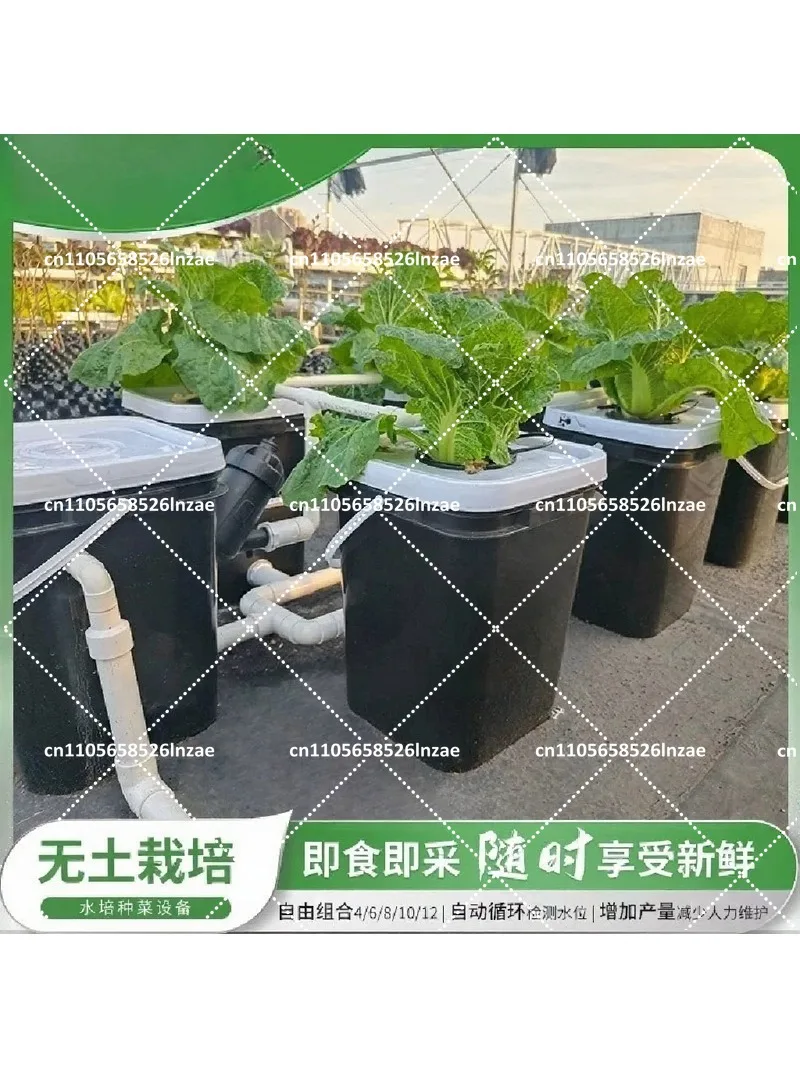 4+1 8+1 RDWC Hydroponic System Soilless Grow Kit for Home Balcony Bucket Planting Expandable Barrels - view 3