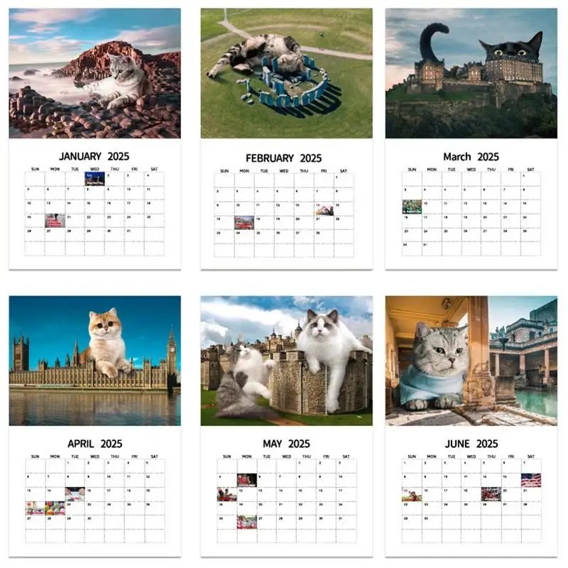 Fun Cats calendario da parete 2025 interessante Urban Big Cat 2025 calendario verticale mensile quadrato calendario da parete Family Planner