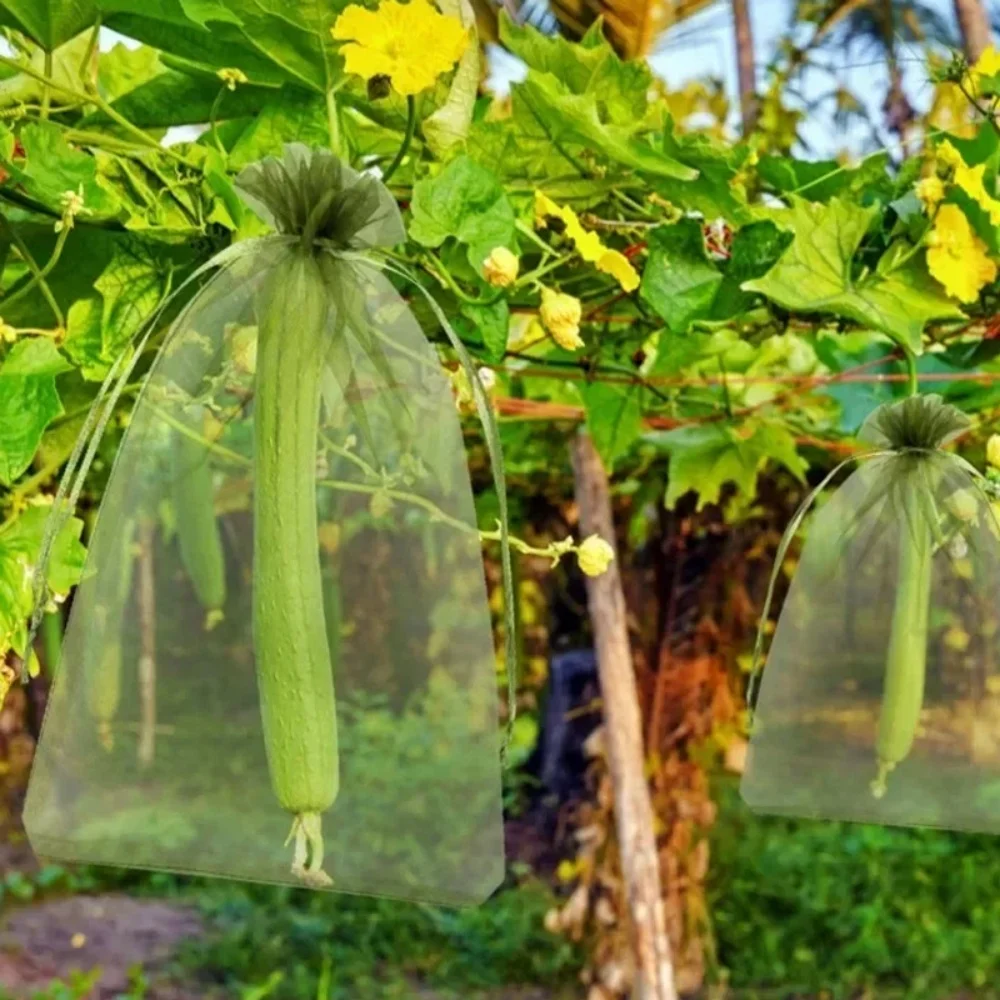 Fruit Vegetable Grape Drawstring Bag Cover Fruit Protection Netting Bags Plant Grow Bags Garden Anti-Bird Mesh Pouch Garden Tool
