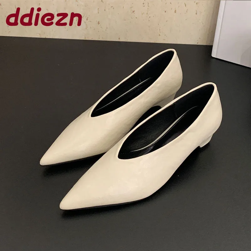 

Pointed Toe Footwear Slip On Pumps Women Heeled Shoes Casual Female Fashion Shallow Ladies Low Heel Shoes 2025 New