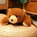 Brown Bear