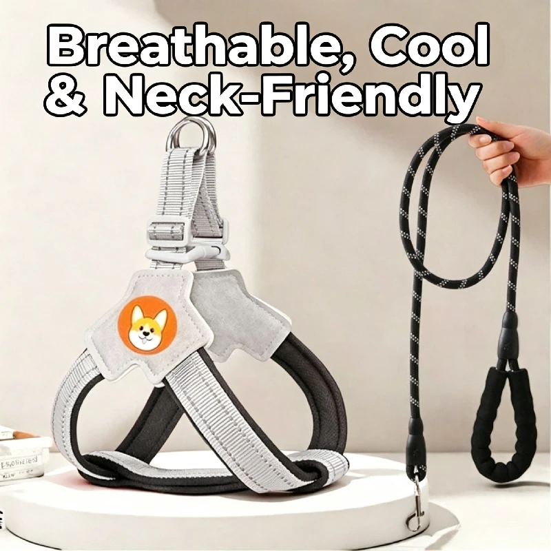 Adjustable Breathable Pet Vest Harness No Choke Dog Walking Harness Leash Set for Small Medium Breed Dogs Corgi Teddy Shiba Inu