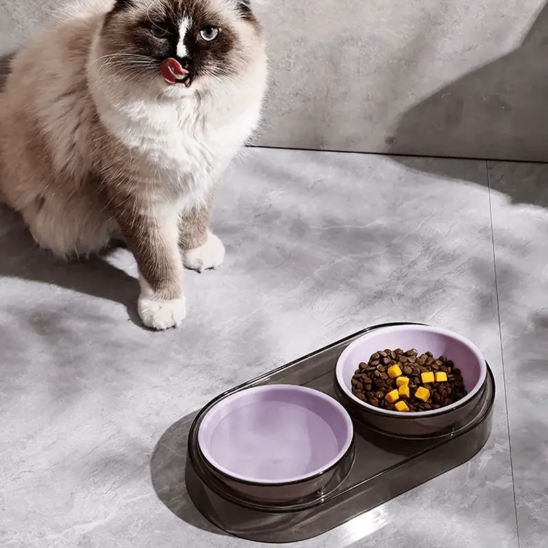 Thumbnail 4 - #82 Best Pet Bowl Stands to Buy In 2026