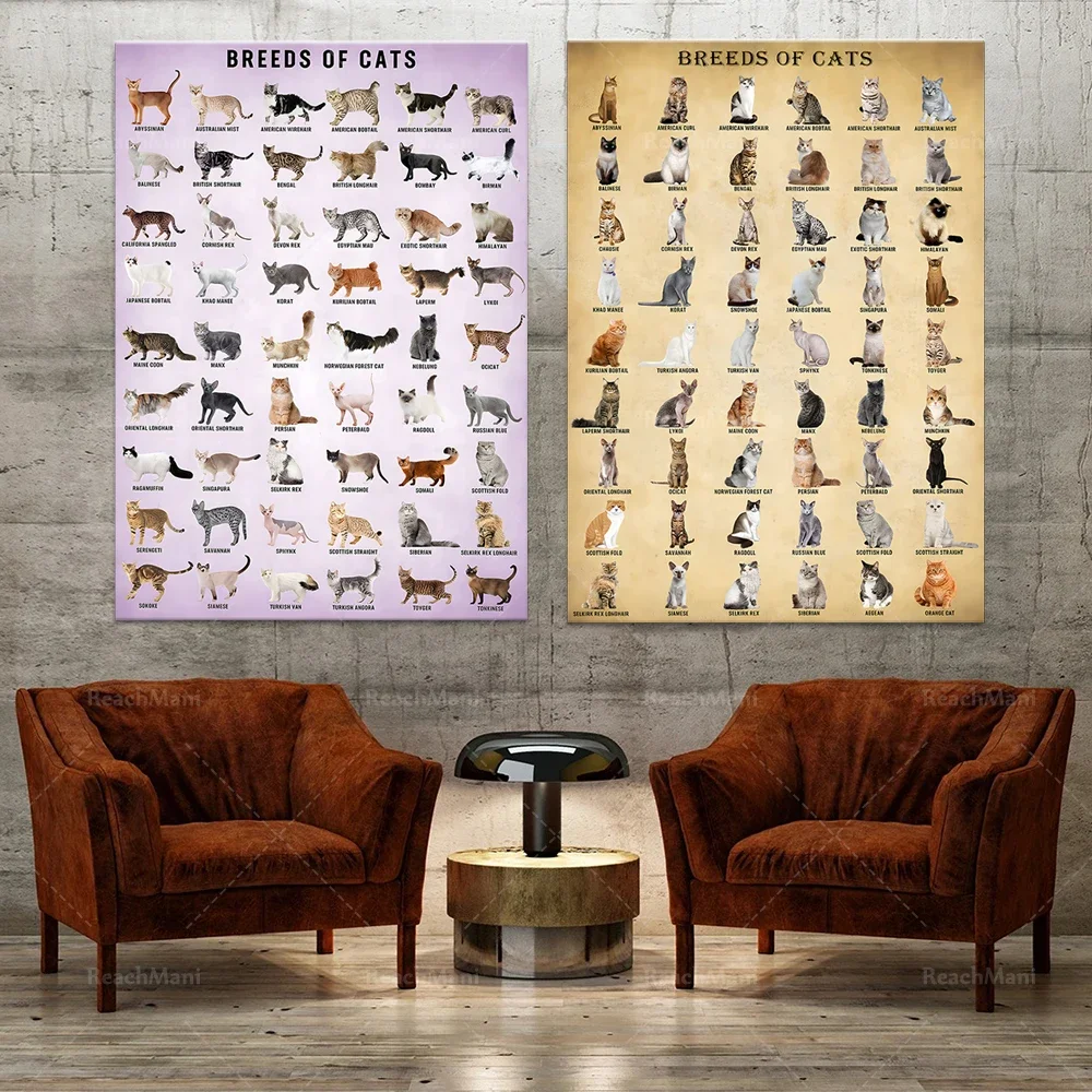 Cat BASYEEO, Cat Breeds Wall Art, Vintage Cat Knowledge Poster, Cat Art, Gift for Cat Lovers,