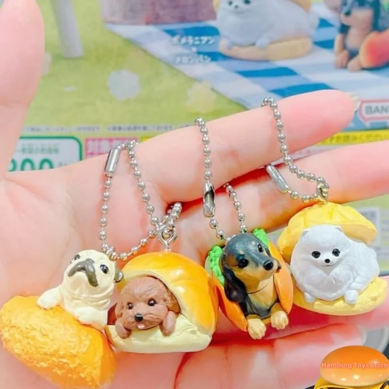 

Bandai Original Gashapon Bread Dog Pomeranian Poodle Dachshund Figure Cute Animal Charm Kawaii Anime Keychain Pet Lover Gift
