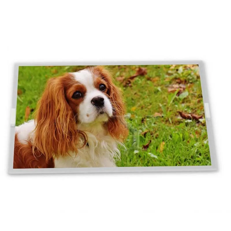 Modul Layar LCD WLED 10,4 Inci LT104AD18F00 dari Supplier ODM Splendid 2025 dengan Resolusi 800*600 untuk Aplikasi Khusus