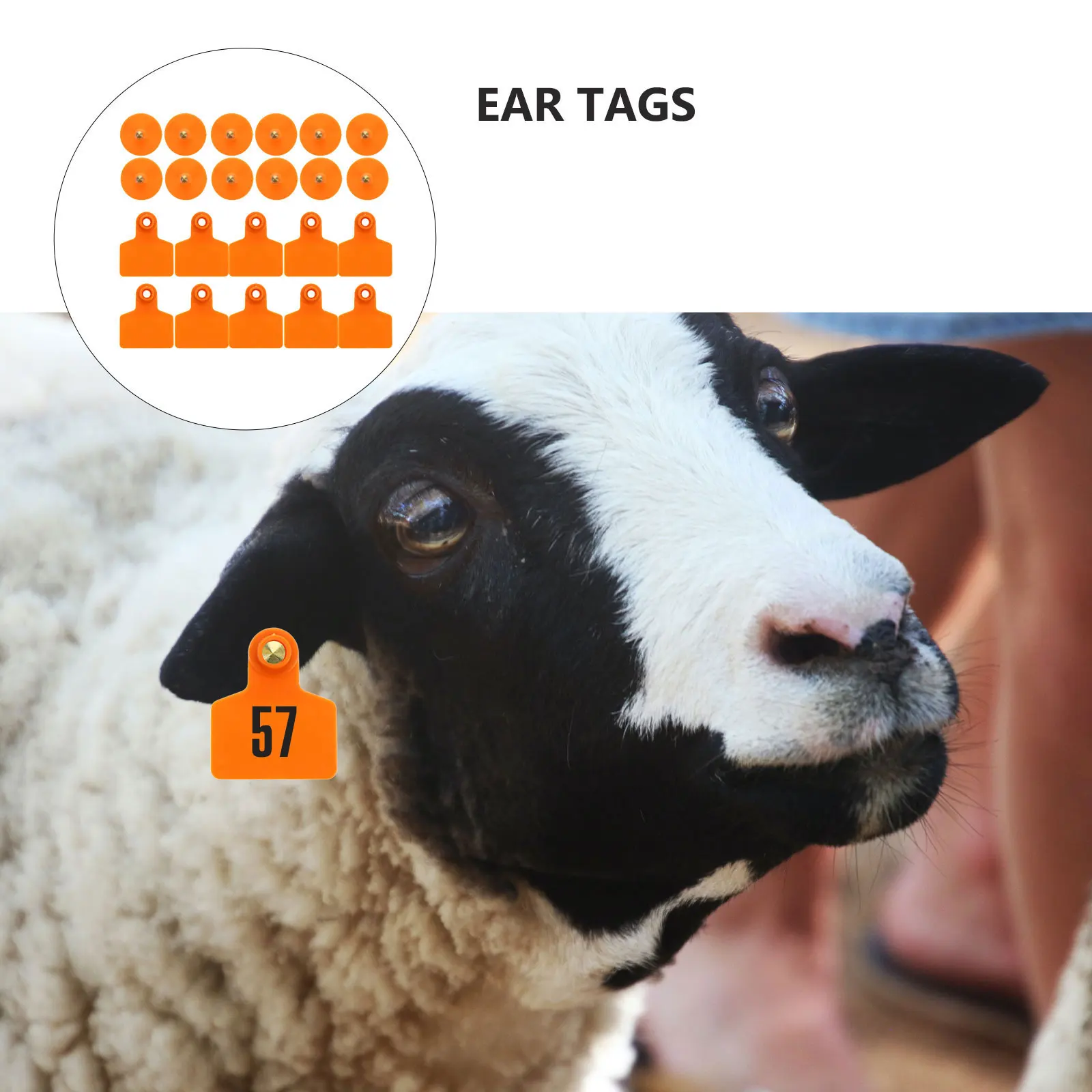 

100pcs Pig Ear Tags High Quality Tpu Durable Copper Head Studs Livestock Ear Tags For Cattle Sheep Horse Animal Pasture