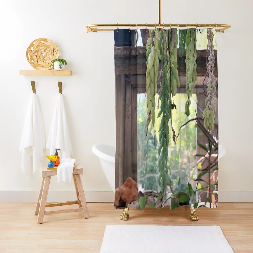 

Italian Greenhouse Shower Curtain Bathroom Shower Waterproof Fabric Shower Bathroom Accessorys For Bathroom Set Curtain