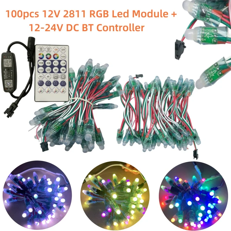 

100pc 12mm 12V LED Pixel Module and 12-24V DC BT Controller Kit WS2811 RGB FullColor IP68 2811IC Digital LED Christmas Light Kit