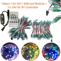 100pc 12mm 12V LED Pixel Module and 12-24V DC BT Controller Kit WS2811 RGB FullColor IP68 2811IC Digital LED Christmas Light Kit