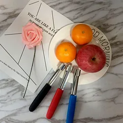 Pear Seed Remover Cutter Stainless Steel Apples Red Dates Corers Twist Fruit Core Remove Pit Kitchen Gadgets Home Vegetable Tool