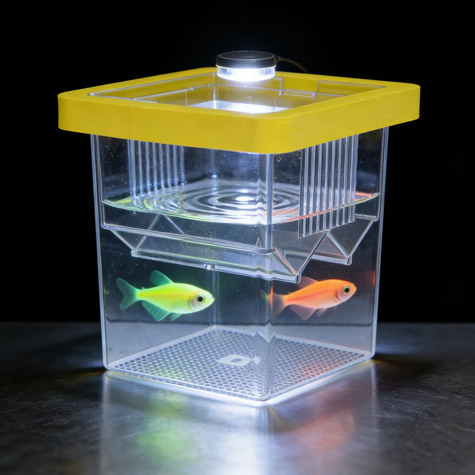 Fish Breeding Box Floating Clear Acrylic Aquarium Hatchery Isolation Chamber Divider Fish Fry Container Betta Guppy Nursery