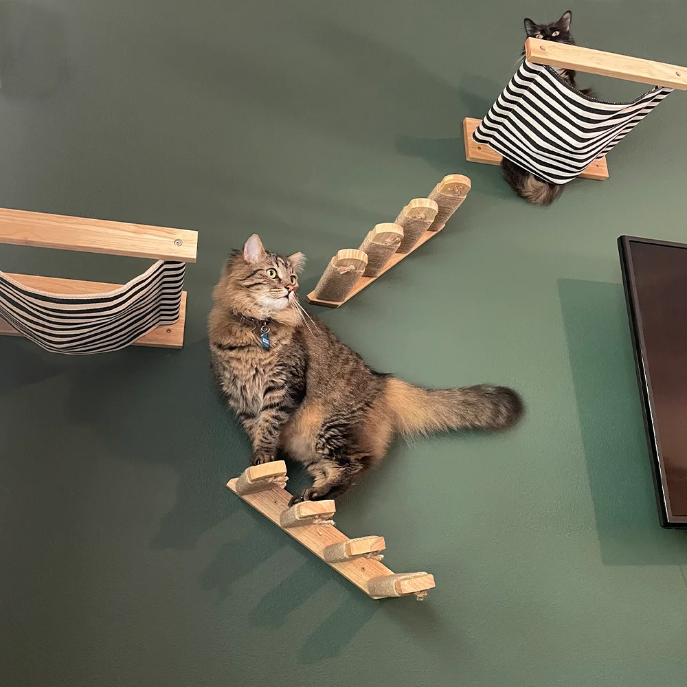 Cat Wall Mounted Solid Wooden Furniture Climbing Ladder and Cat Hammock with Scratching Post for Activity Indoor Cats Perches