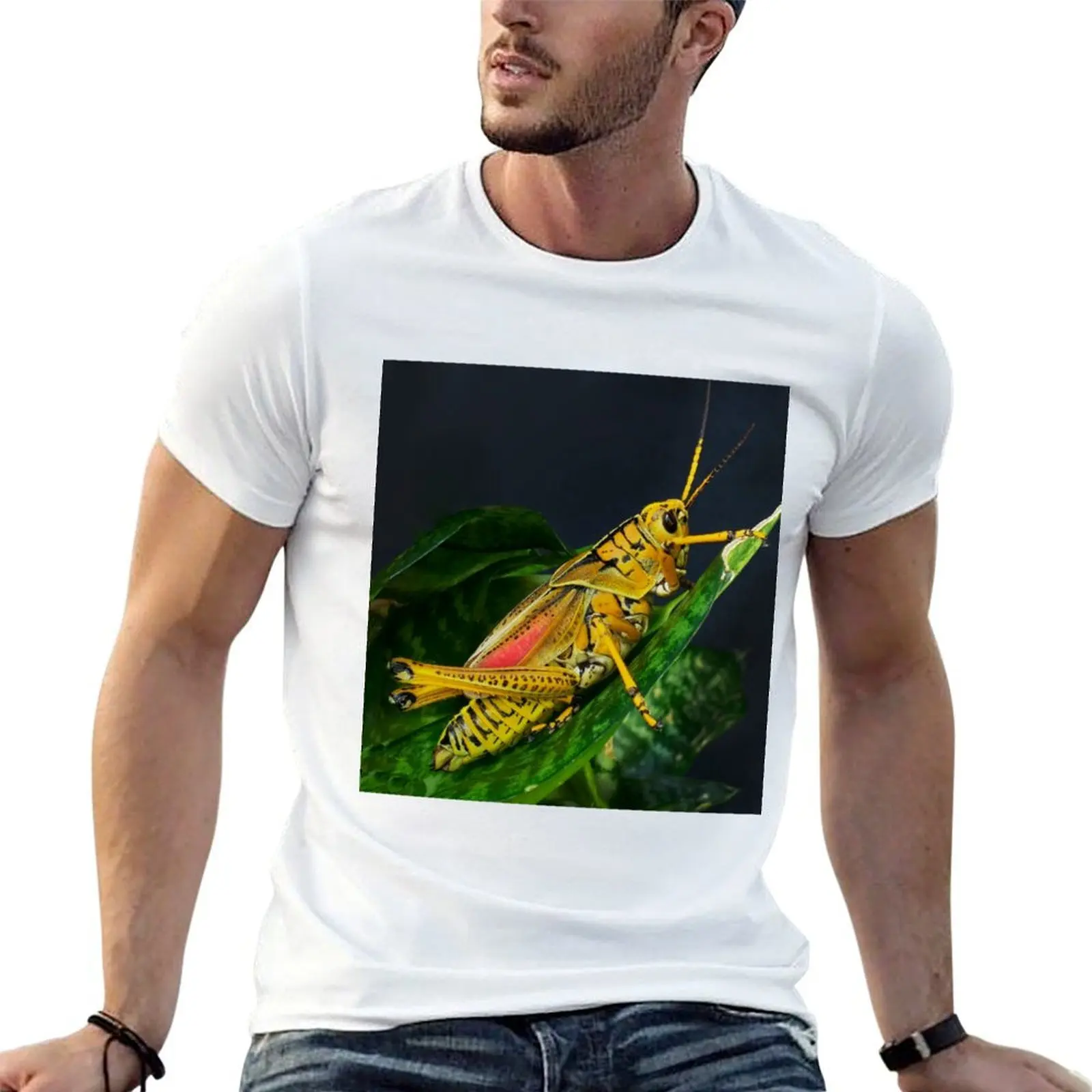 

tshirt Southern 100% 100% graphic shirts for t cotton t Grasshopper Lubber man shirts T-Shirt cotton man