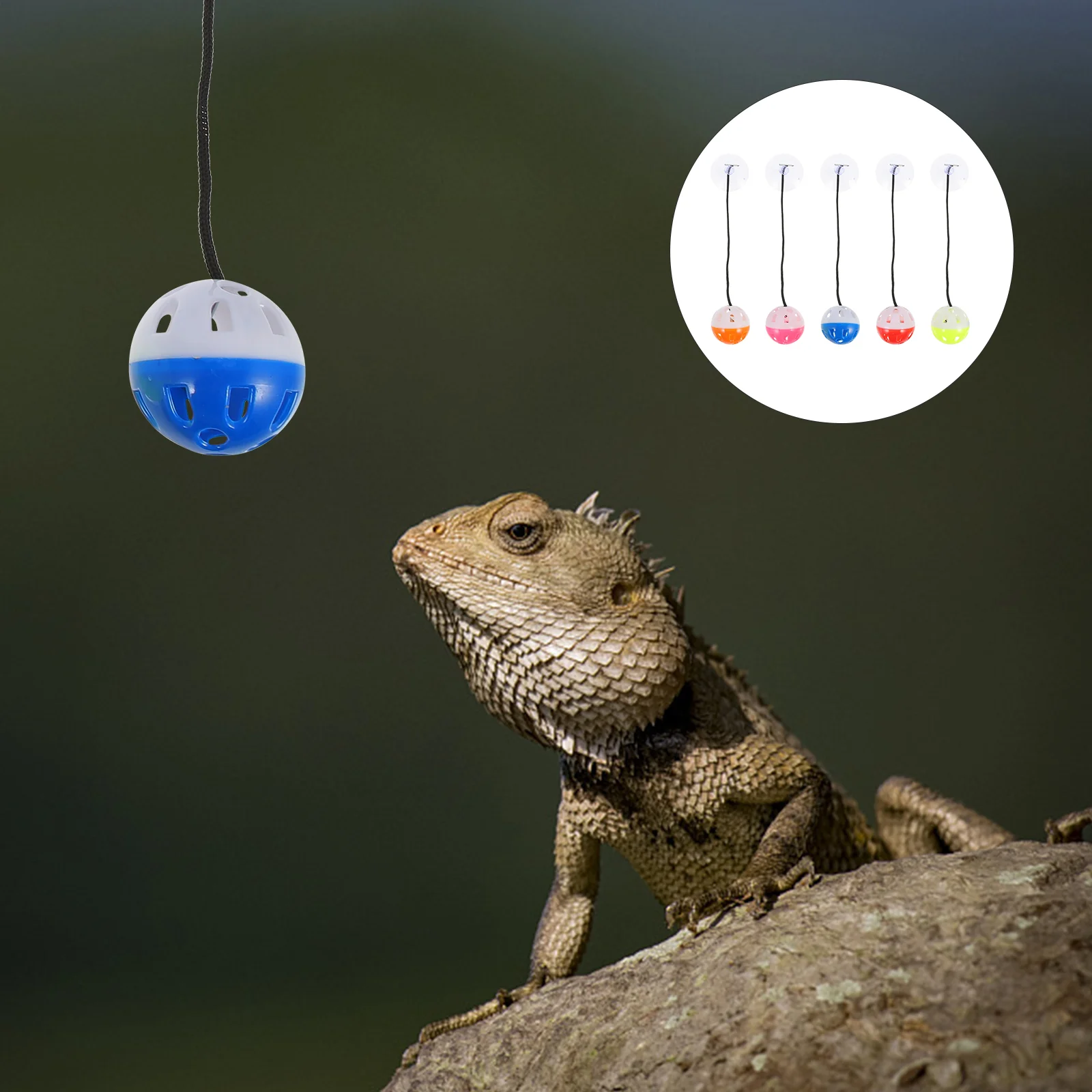 6 Pcs Lizard Toy Bearded Dragon Hanging Repitle Reptisoil Dragons Bell Balls Toys Interactive Reptile Plaything Accessories