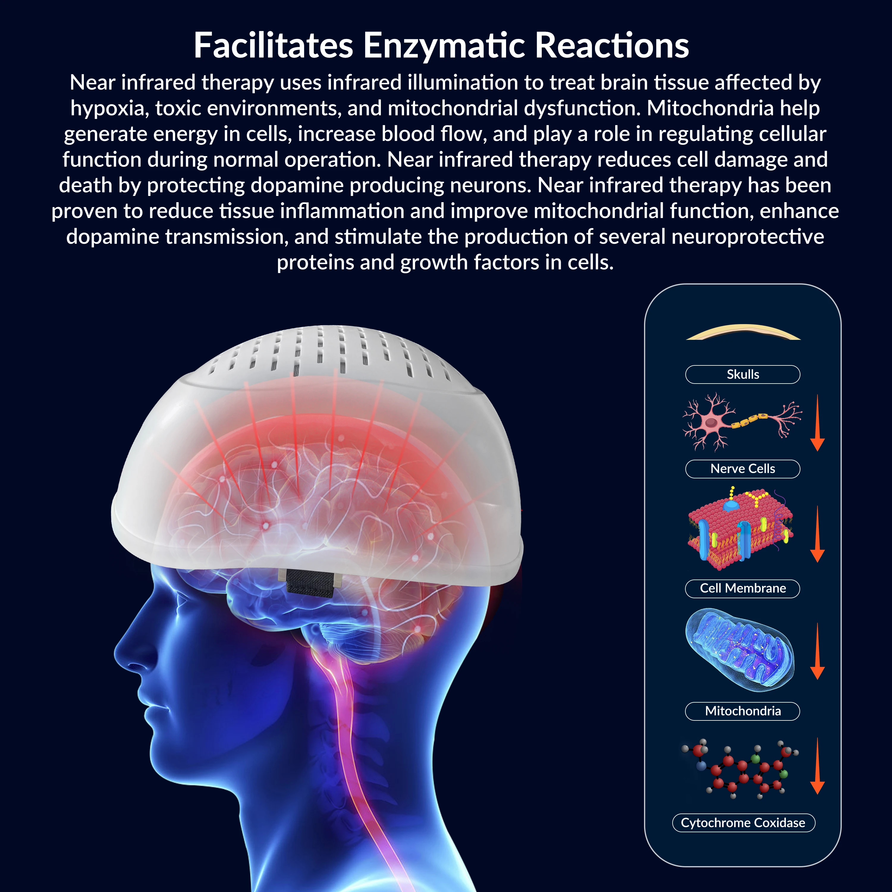 ZJZK 1-50Hz Photobiomodulation Therapy 28W Near Infrared For Brain 1070nmx280diodes Post Traumatic Stress Disorder Dementia