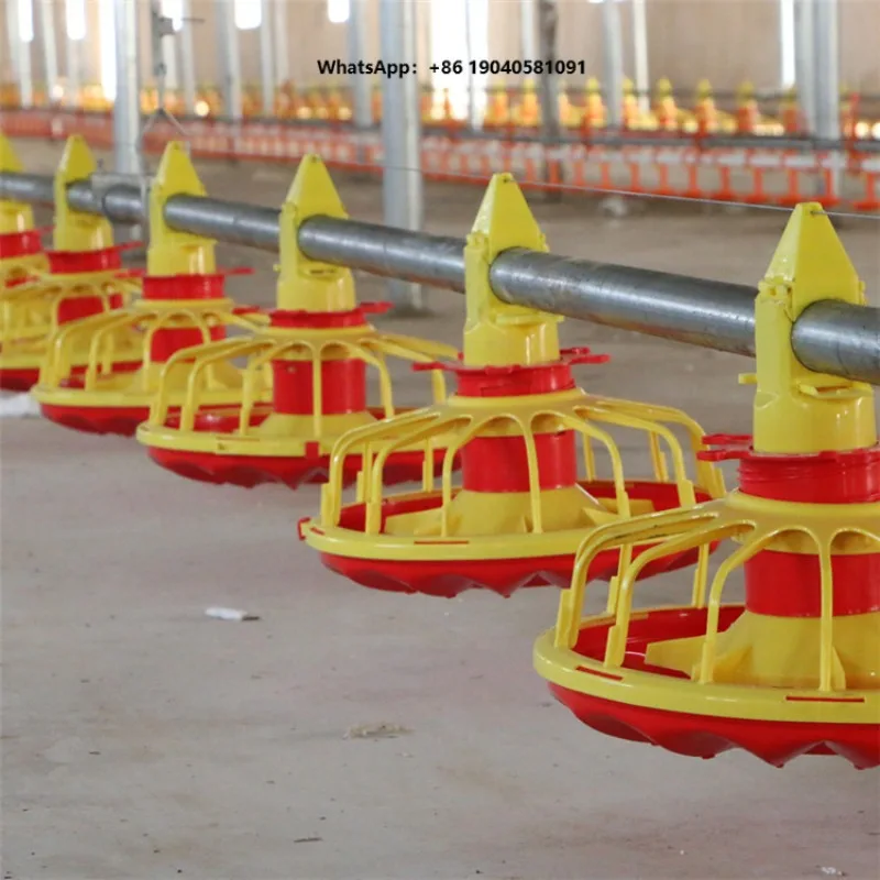 New Plastic Poultry Chain Feeding System Chicken Feeding Line Modern Environment Controlled Feeding Equipment