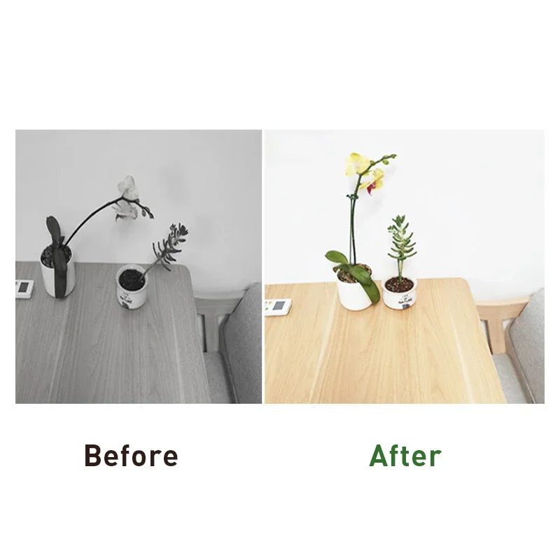 Plant Supports Stakes Flower Stand Sticks Reusable Plant Clips Bonsai Fixing Tool Flower Grow Holder Garden Tools
