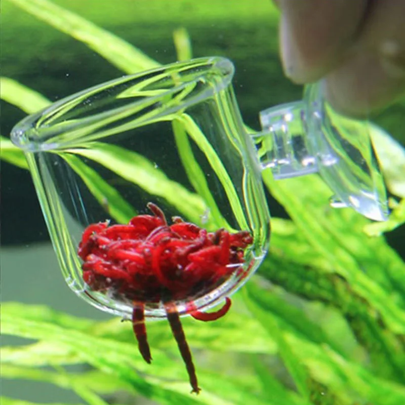 1 قطعة حوض مائي زجاجي المغذية معلقة حوض للأسماك وعاء صغير كريستال البولكا المياه بوعاء زرع اسطوانة كأس حوض السمك اكسسوارات الديكور