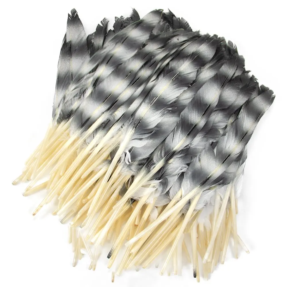 

50Pcs/Lot silver Goose Feathers for Decoration Goose Feather DIY Craft Jewelry Creation Handicraft Accessories Decor Plumes
