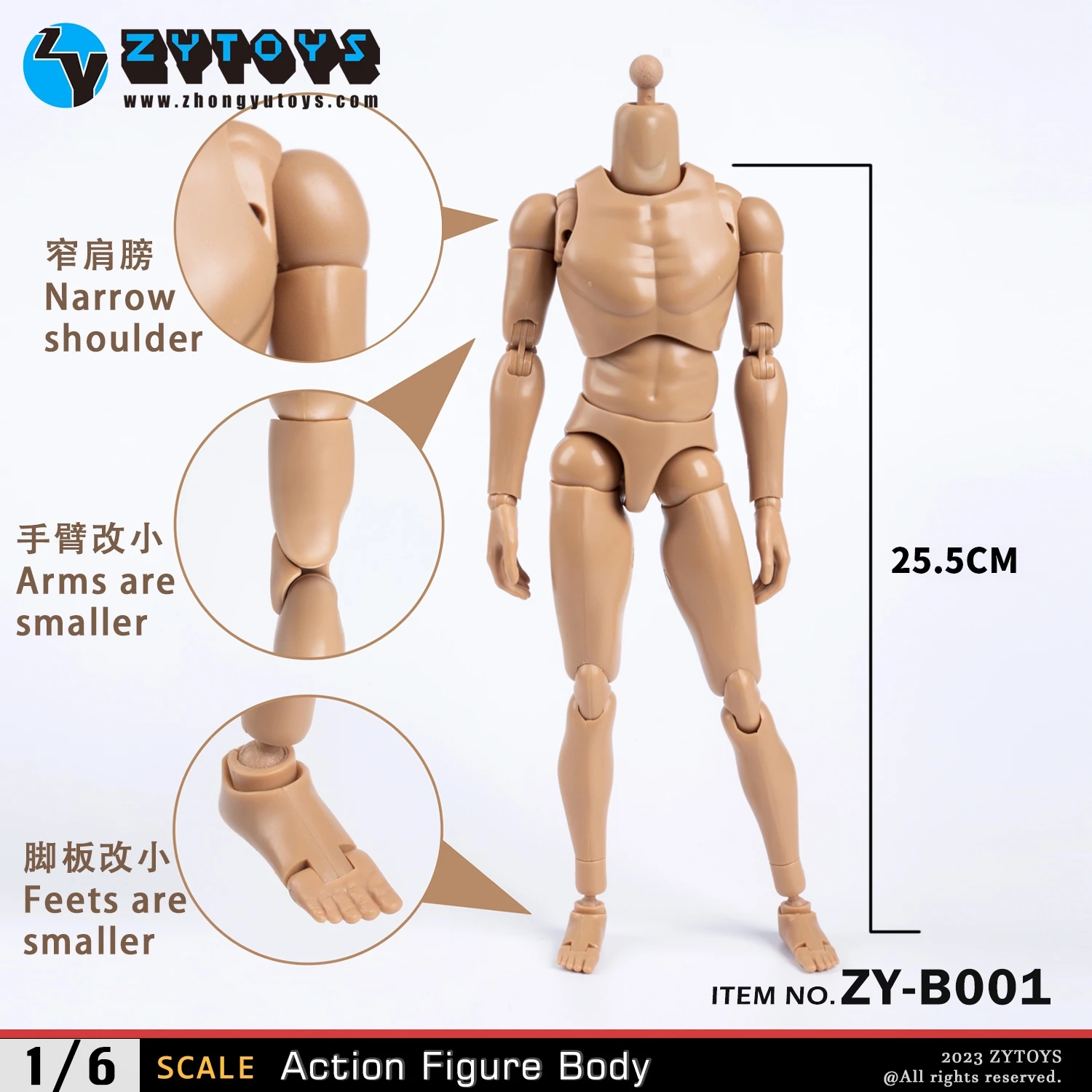 

ZYTOYS 1/6 Action Figure Body Narrow/Wide Shoulder Male Soldier Toys 12inch Accessory Model Collection In Stock